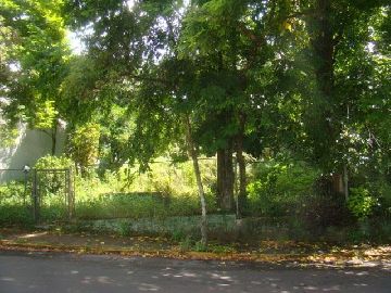 Terreno Comercial 1.647,81m�