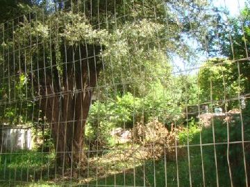 Terreno - Venda em Lajeado-RS Bairro Centro