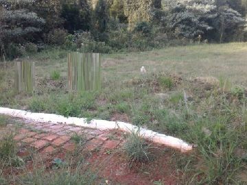 TERRENO LOTEAMENTO MONTE OLIMPO
