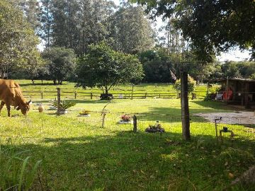 S�tio - Bairro S�o Bento - Lajeado-RS