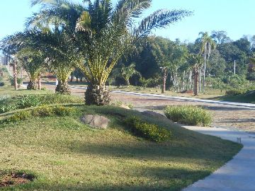 Loteamento Altos Das Figueiras