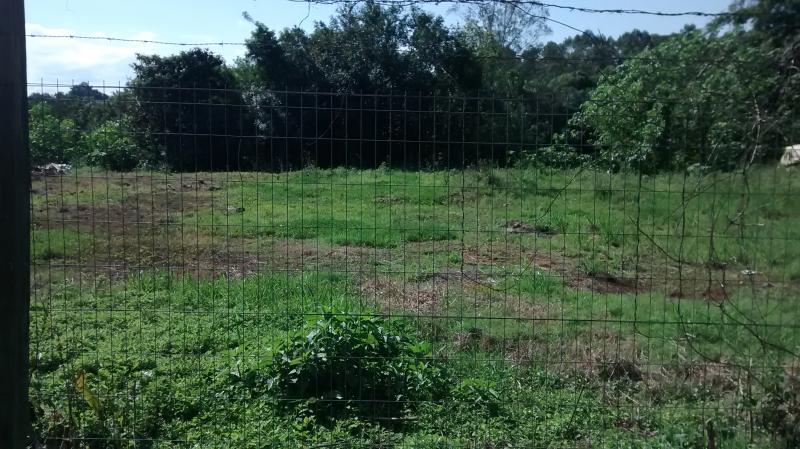 Terreno - Venda - Conservas - Lajeado - RS
