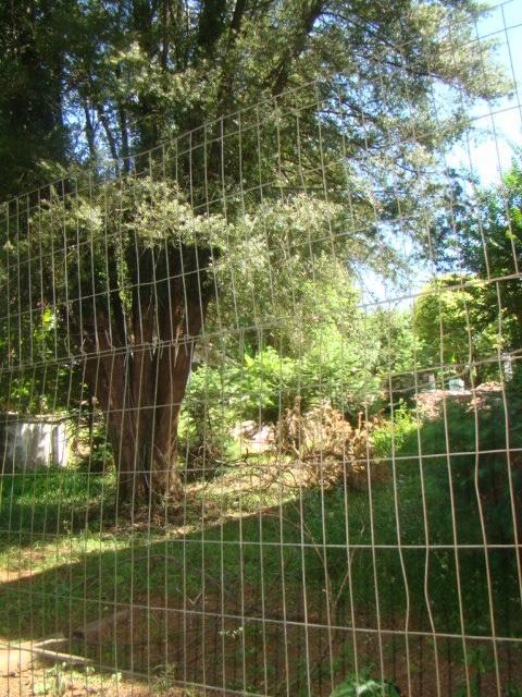 Terreno - Venda - Centro - Lajeado - RS