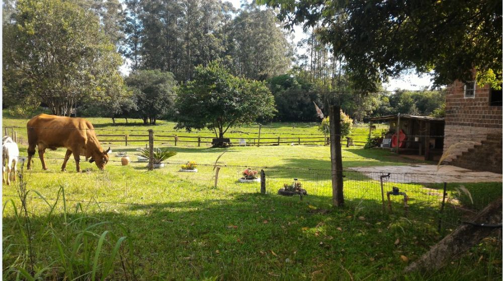 Chácara - Venda - São Bento - Lajeado - RS